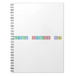 Metal Stress Team  Notebooks