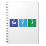Bayu  Notebooks