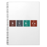 Burcu  Notebooks