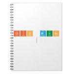 clio Muse
   Notebooks