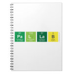 PAllab  Notebooks