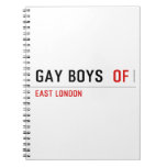 Gay boys   Notebooks