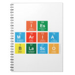 IES
 MARIA 
 BLASCO  Notebooks
