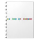 The Code to Success
   Notebooks
