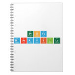 Profe
 Maravilla  Notebooks