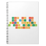 this is neat 
 that you can 
 generate sentences 
 in this unusual 
 fashion  Notebooks