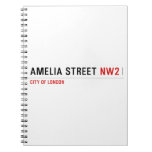 Amelia street  Notebooks