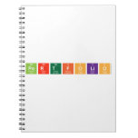PORTFOLIO  Notebooks