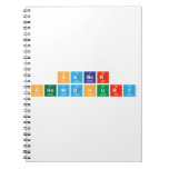 Saber
 Chowdhury  Notebooks