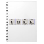 STEEL  Notebooks