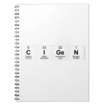 CiGen  Notebooks