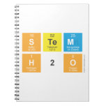 STEM
 H2O  Notebooks