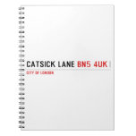 Catsick Lane  Notebooks