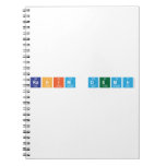 RAHIM DEMIR   Notebooks