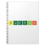 Blueprints  Notebooks