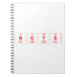 boys  Notebooks