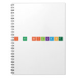 I Am Brilliant  Notebooks