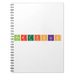PORTFOLIO  Notebooks