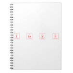 I Lu V U  Notebooks