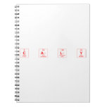 C a l y  Notebooks