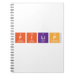 FILIP  Notebooks
