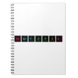 REACTOPIA  Notebooks