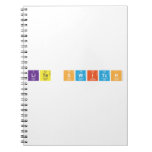 Lite Switch  Notebooks