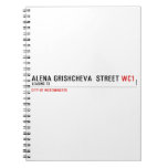 ALENA GRISHCHEVA  STREET  Notebooks