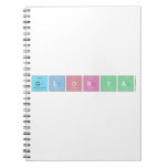 GLorya  Notebooks