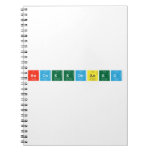 HECNeedBased  Notebooks