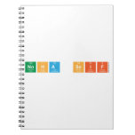 noha seif  Notebooks