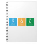 you   Notebooks