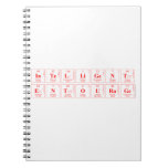 intelligent
 entourage   Notebooks