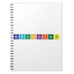 raniuncsidyte  Notebooks