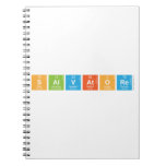 Salvatore  Notebooks