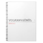 VOLKAN%GÖNÜL  Notebooks