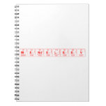 Mendeleev  Notebooks