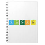 Vincente  Notebooks
