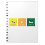 teody  Notebooks