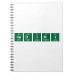 CEDIMI  Notebooks