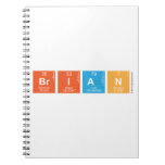 Brian  Notebooks