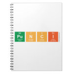 Punci  Notebooks