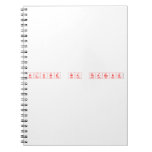 Hlonie wa thabang  Notebooks