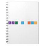 like a boss  Notebooks