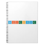 Refiective  Notebooks