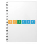 SOUMYA  Notebooks