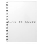 Seize the Moment  Notebooks