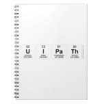 Uipath  Notebooks