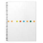 n o  b i tc h e s  Notebooks