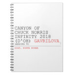 Canyon of chuck norris INFinity 2018 (D'oh)  Notebooks